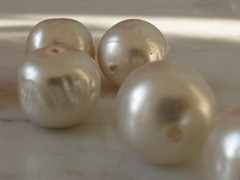 IMG_5488 IMG_5488
