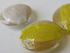 IMG_6313 IMG_6313