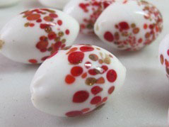 IMG_7861 IMG_7861
