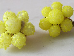 IMG_7177 IMG_7177