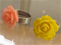 Is er een romantischer cadeau dan een ring?