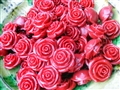 Wild roses Wild roses